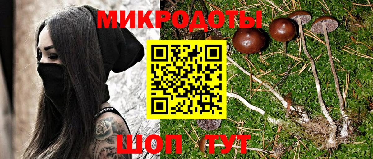 Галлюциногенные грибы GOLDEN TEACHER Братск
